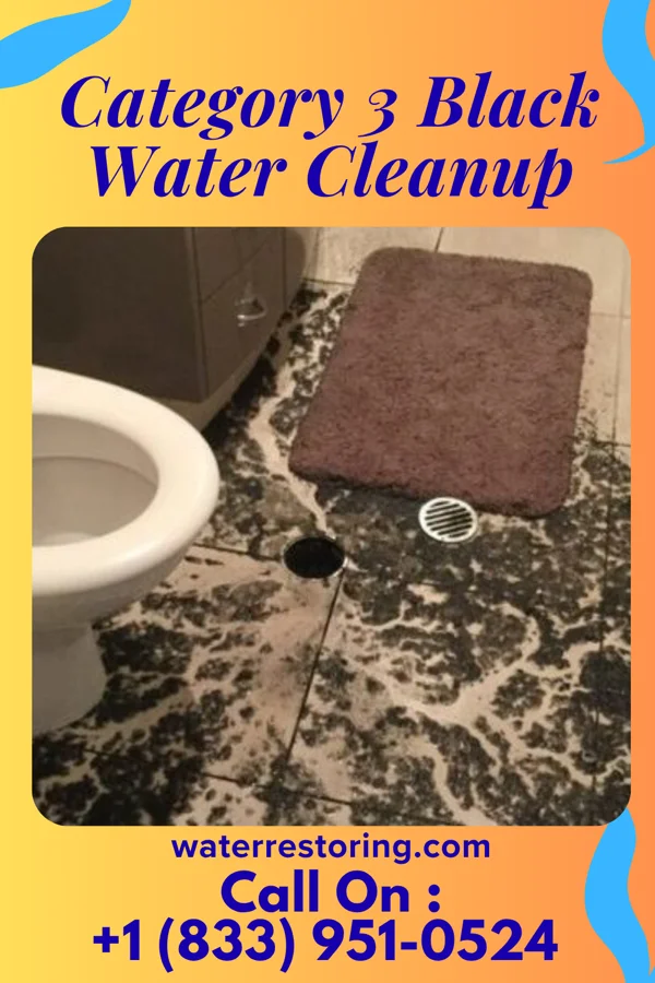 Category 3 Black Water Cleanup in Hendricks, WV