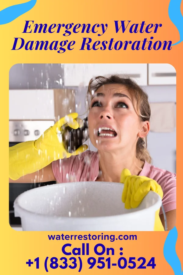 Emergency Water Damage Restoration in Hendricks, WV
