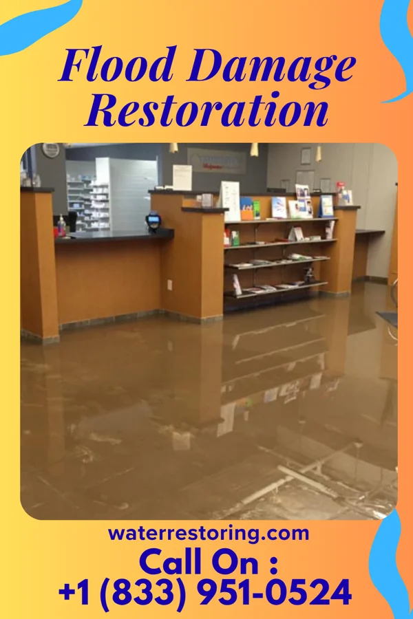 Flood Damage Restoration in Hendricks, WV