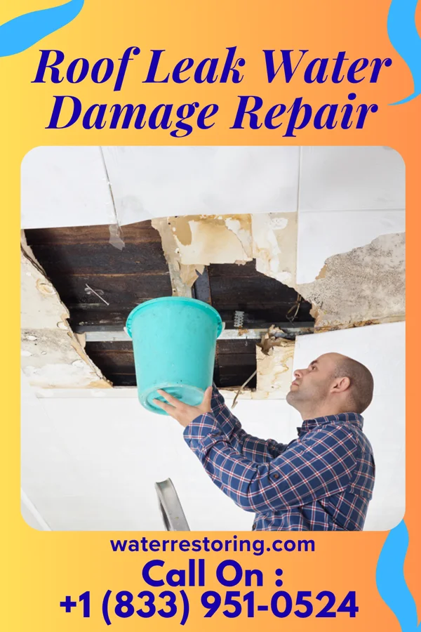 Roof Leak Water Damage Repair in Hendricks, WV